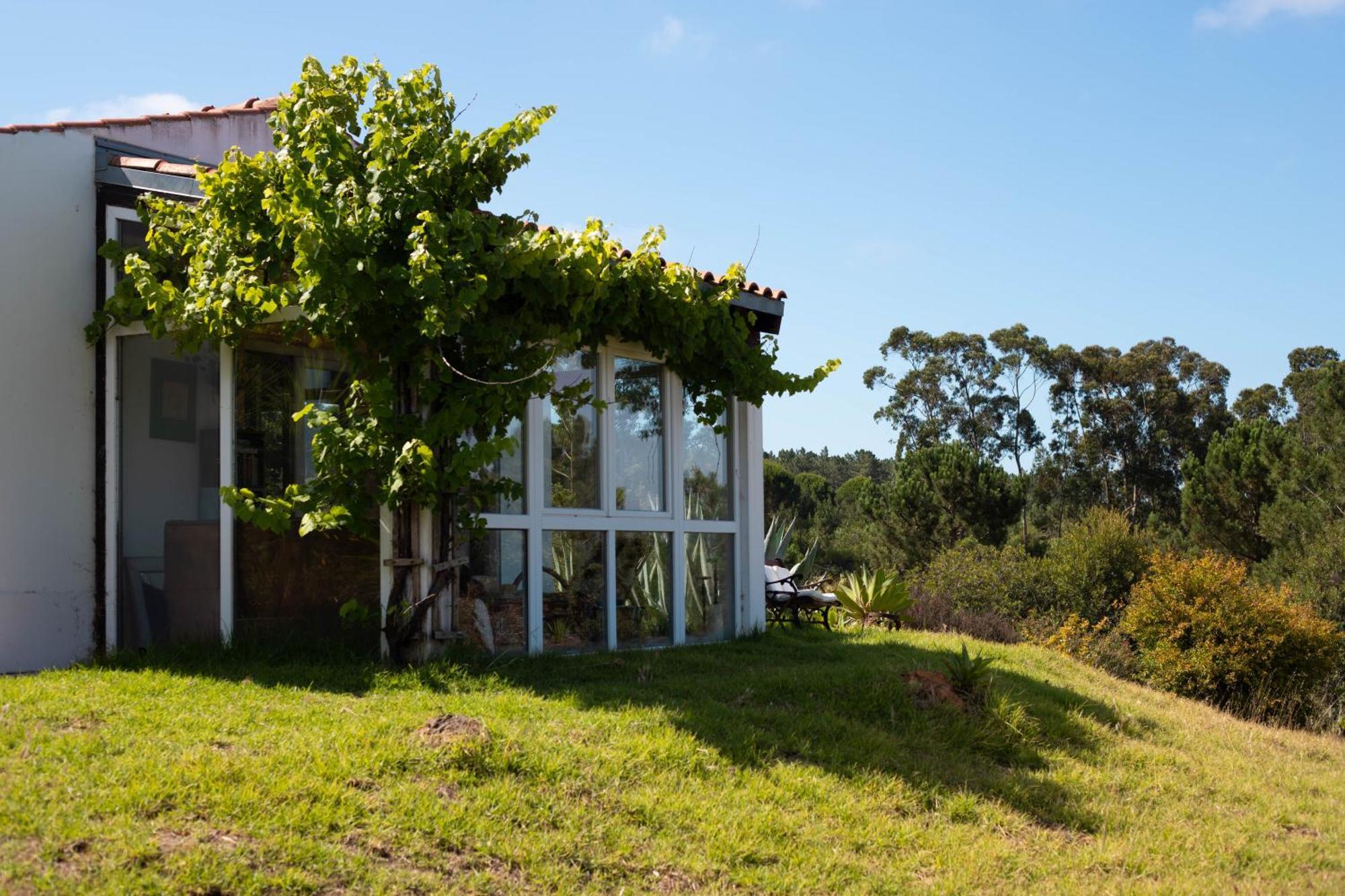 Farm stay Monte Da Urze -