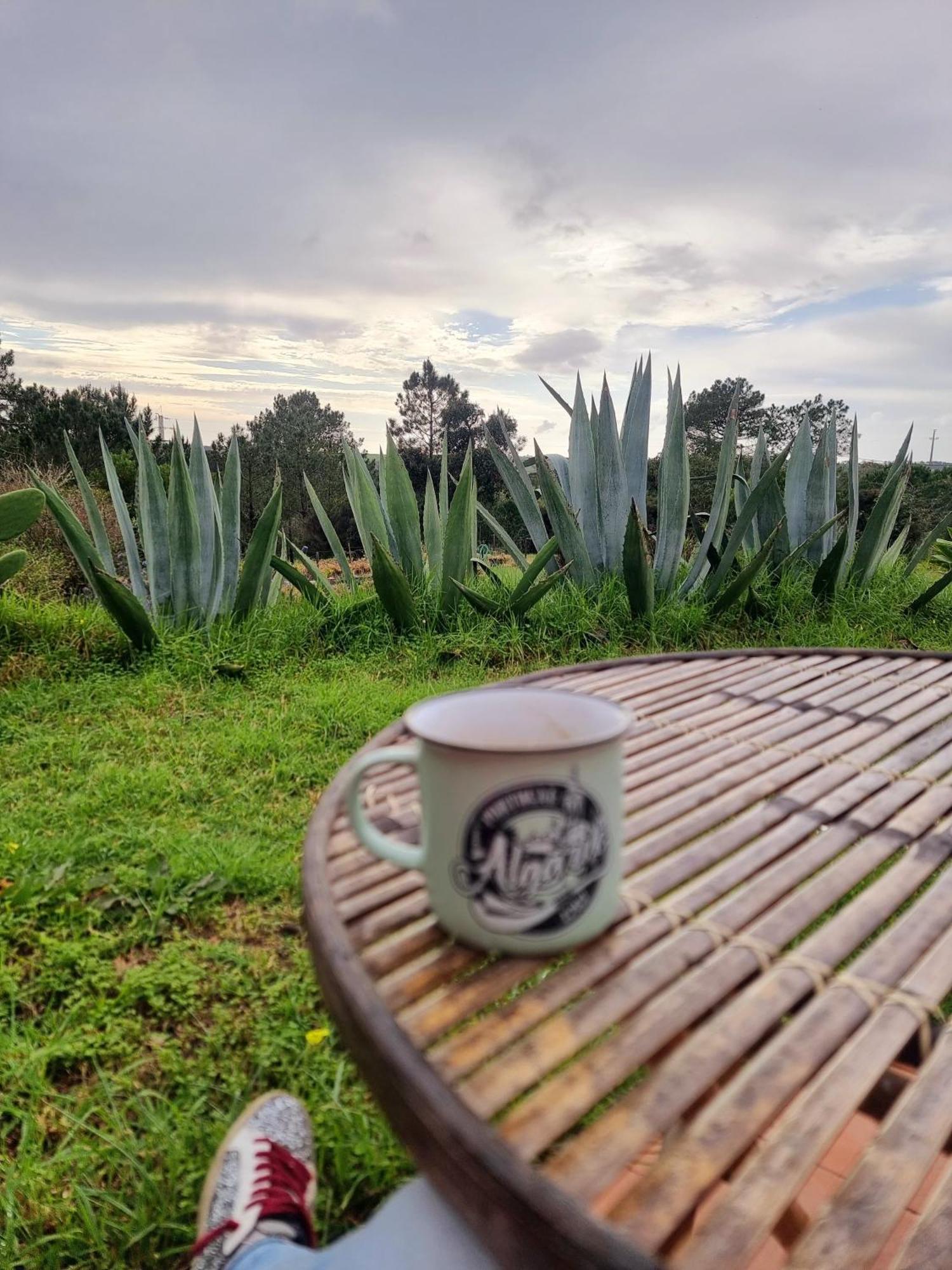 Farm stay Monte Da Urze - *