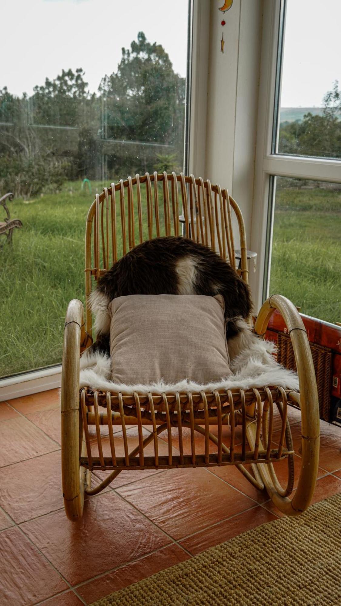 Farm stay Monte Da Urze - *