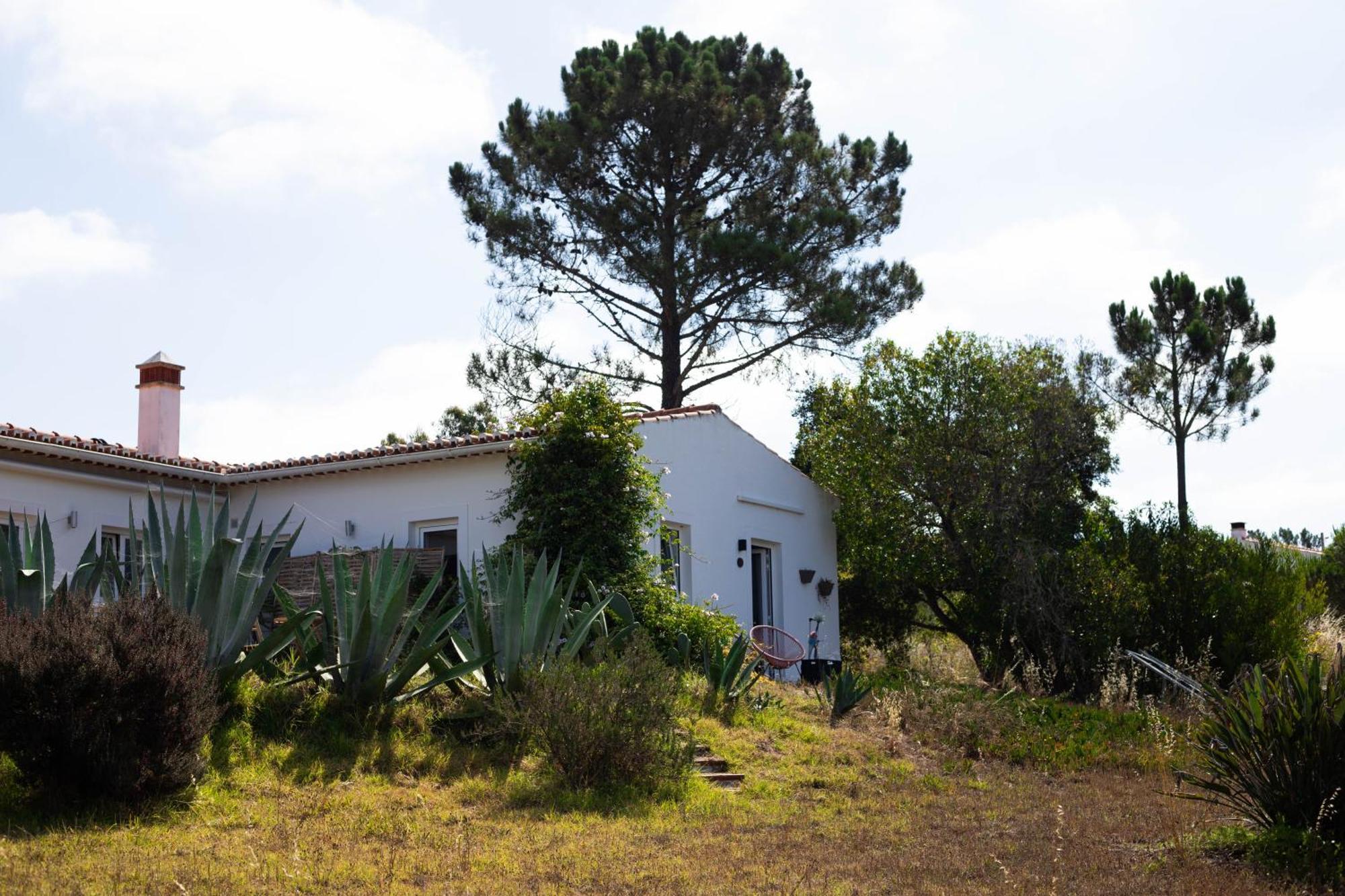 Monte Da Urze - Farm stay