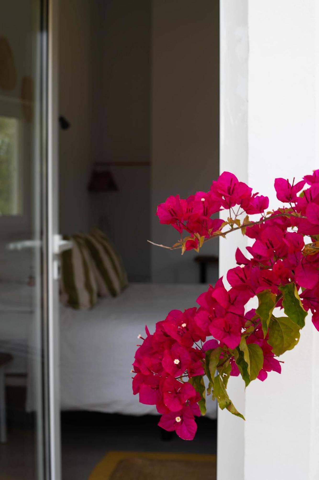 Farm stay Monte Da Urze - *
