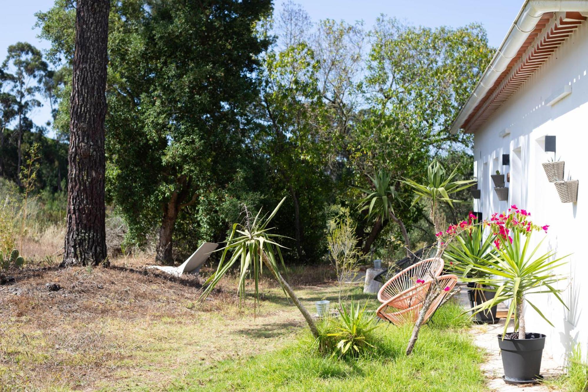 Farm stay Monte Da Urze - Aljezur