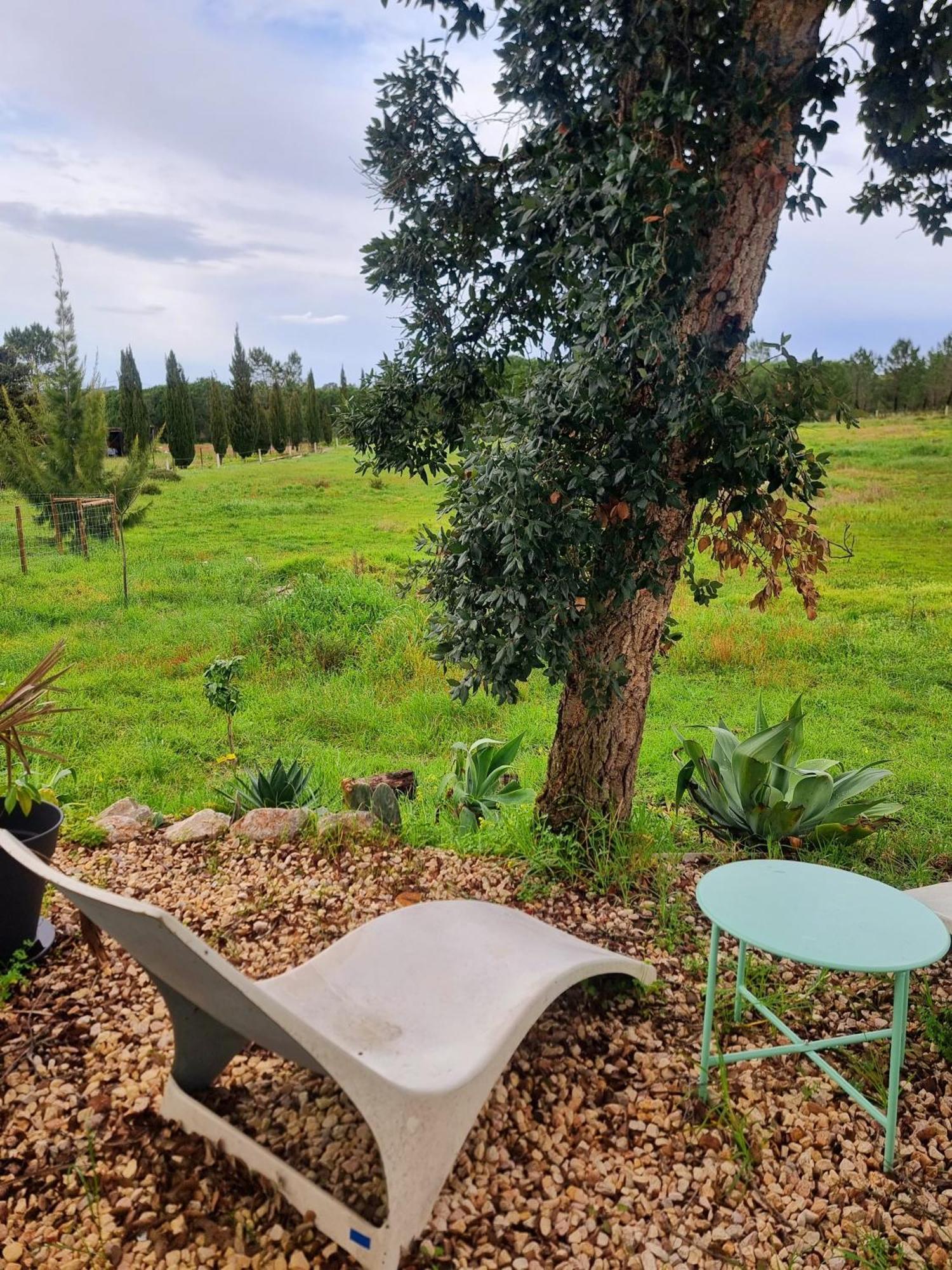 Farm stay Monte Da Urze -